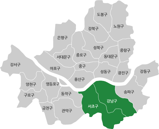 강남서초센터 지도 이미지